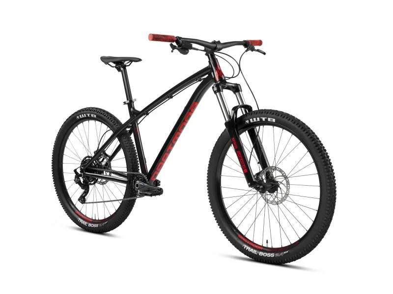 VTT DARTMOOR SPARROW INTRO 2021 5 VTT DARTMOOR SPARROW INTRO 2021 – Image 3